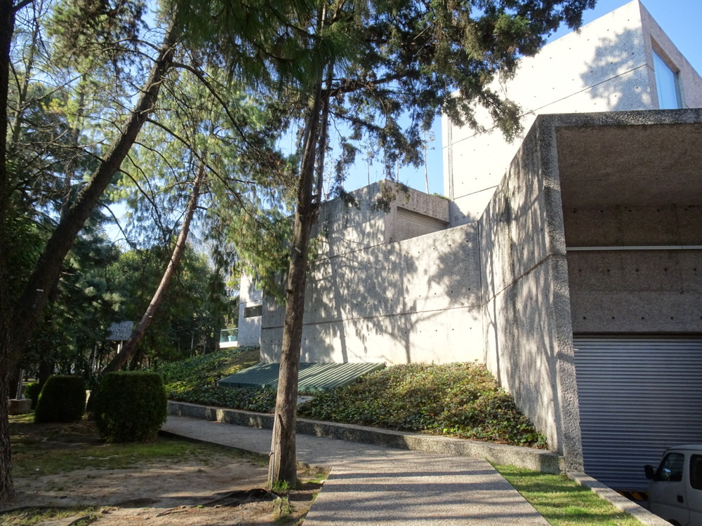 ルフィーノ・タマヨ美術館18