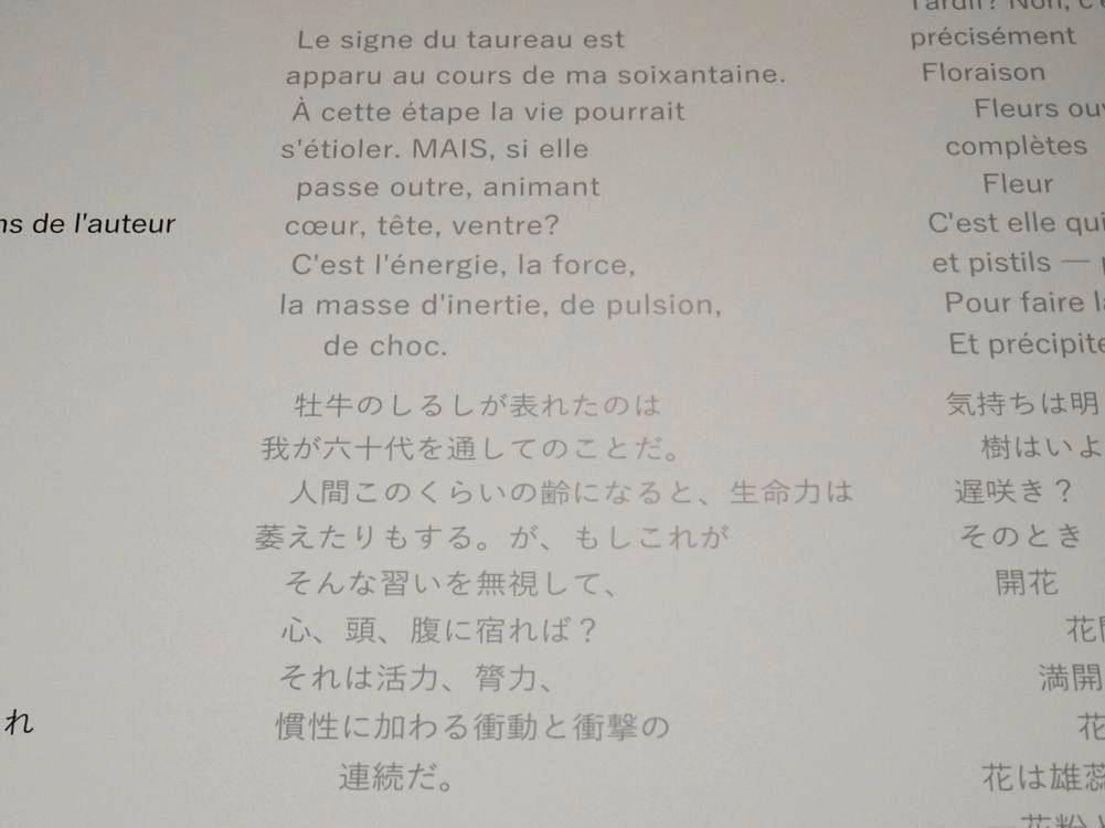 ル・コルビュジエ / チャンディガール展 –創造とコンテクスト–_37