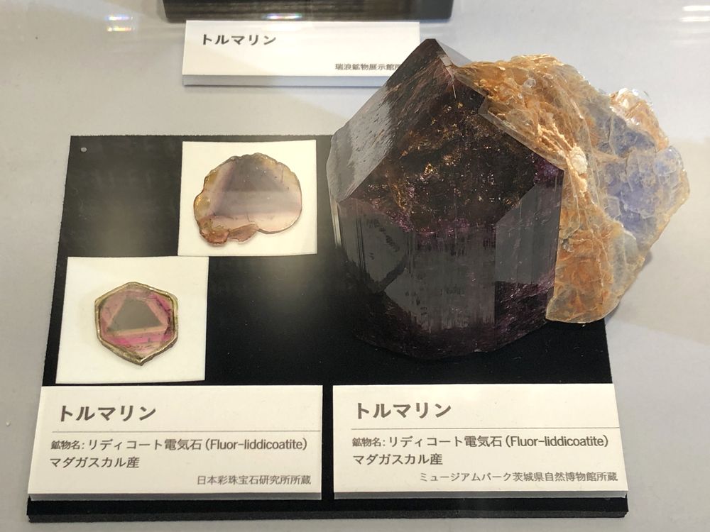 特別展「宝石 地球がうみだすキセキ」_31