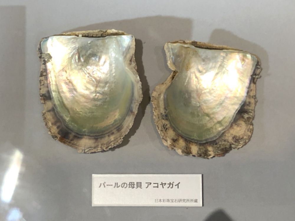 特別展「宝石 地球がうみだすキセキ」_47