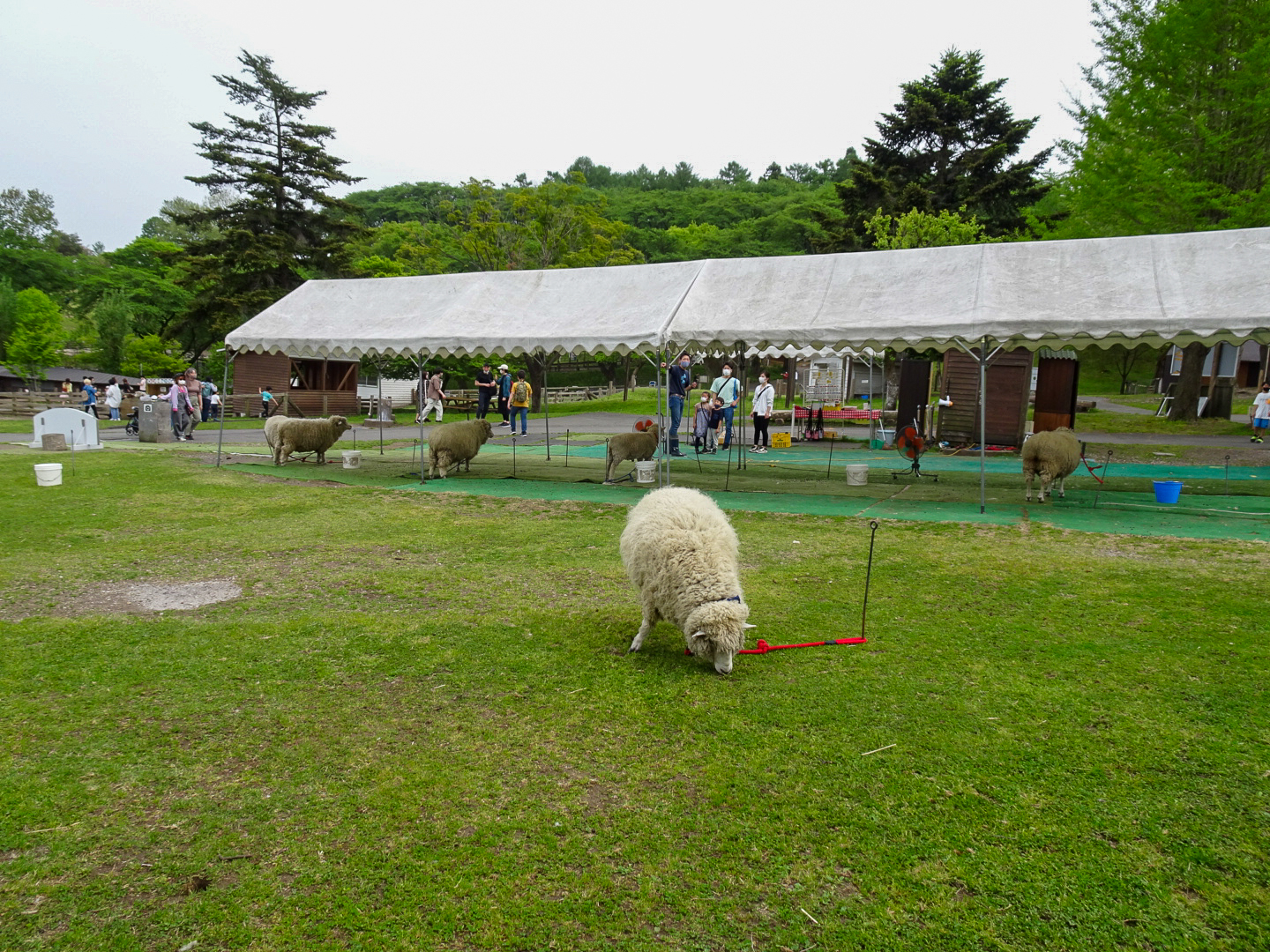 群馬建築巡り2021_77