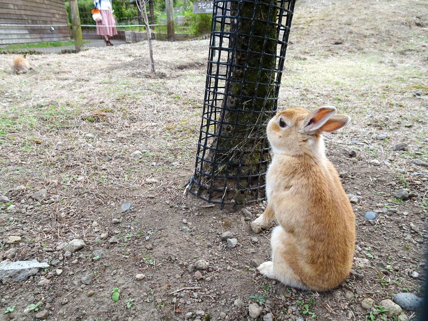 群馬建築巡り2021_88