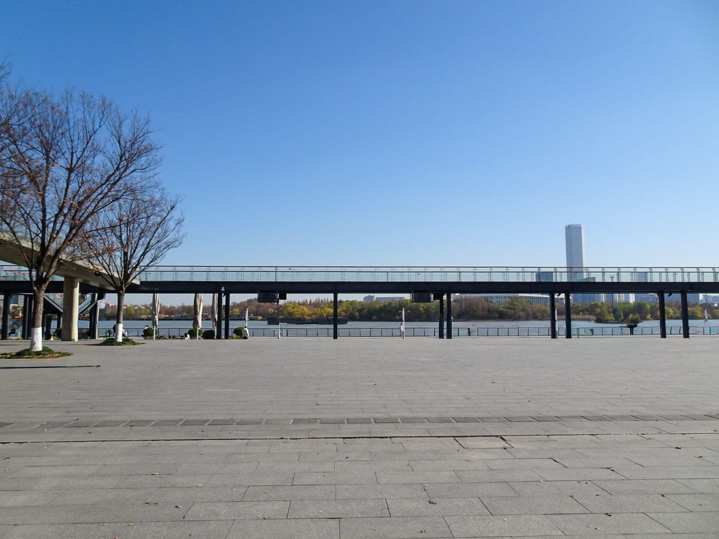 龍美術館 西岸館_95