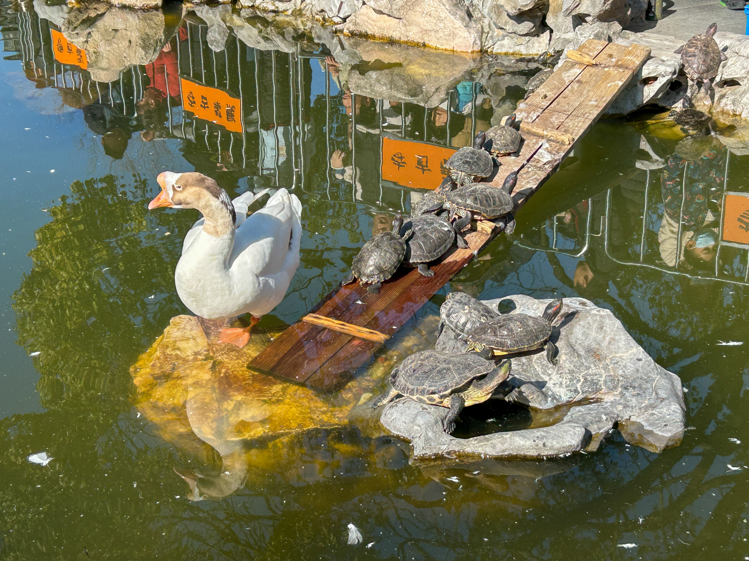 龍華寺_8
