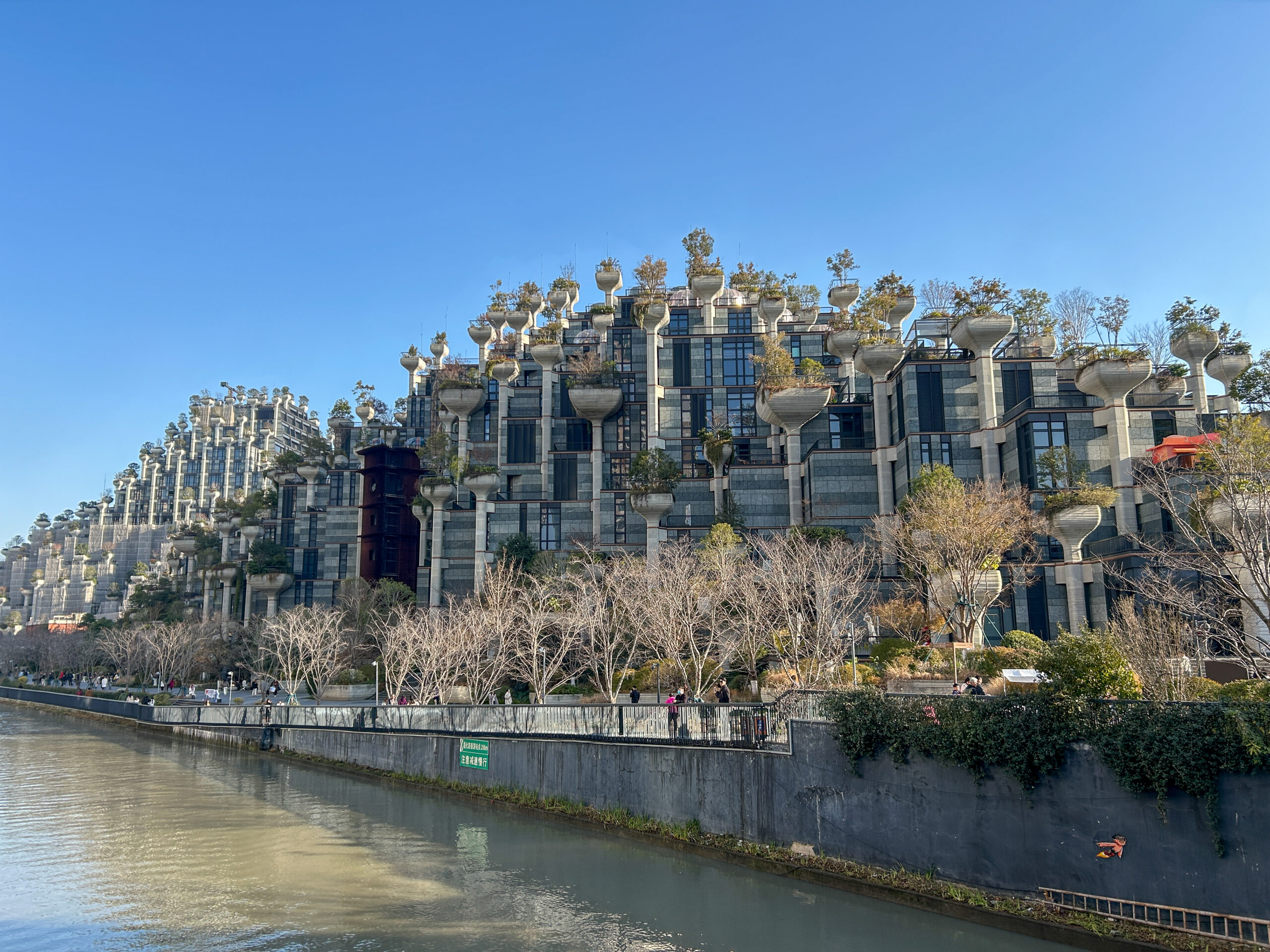 天安千樹_2