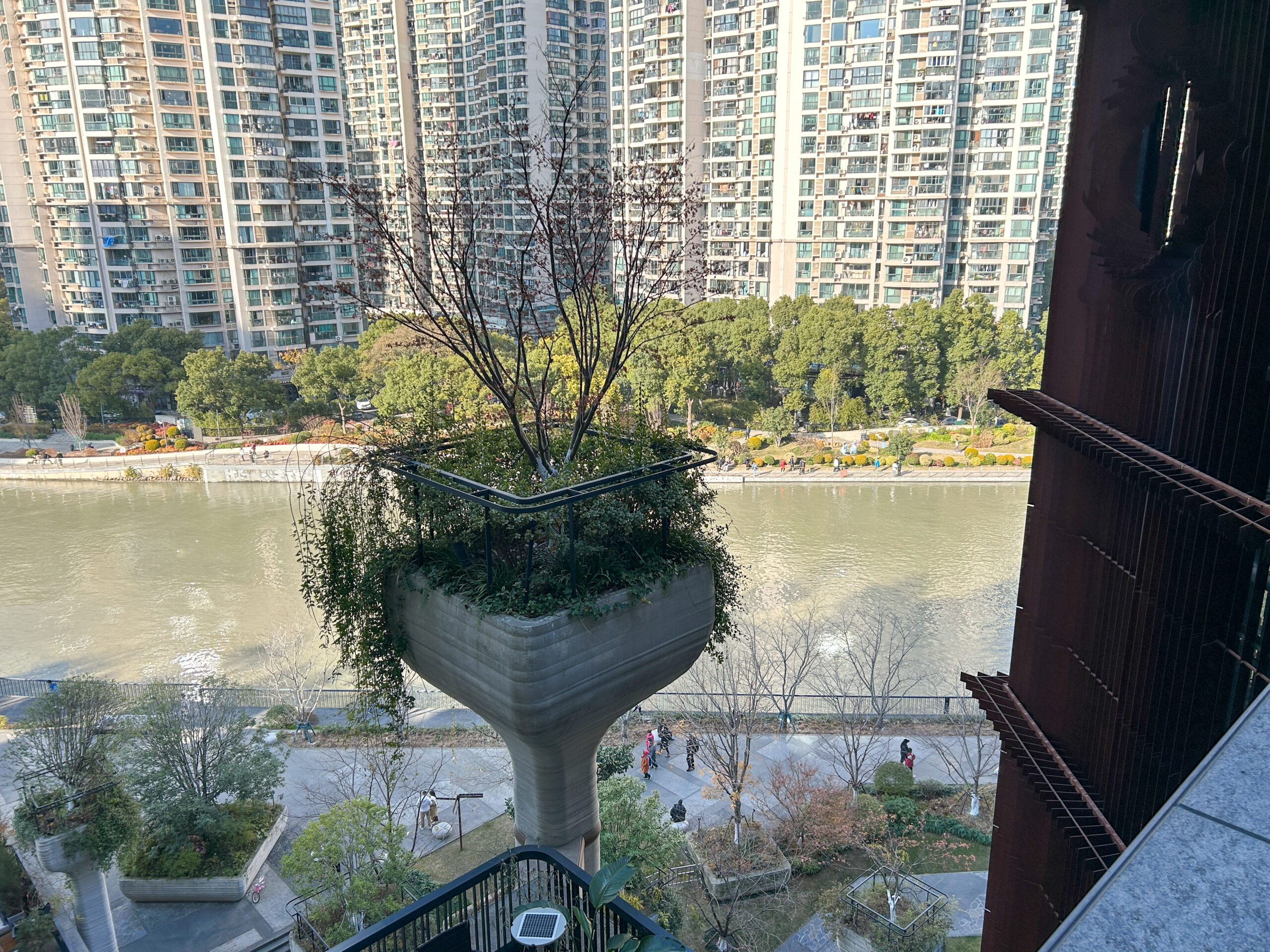 天安千樹_55