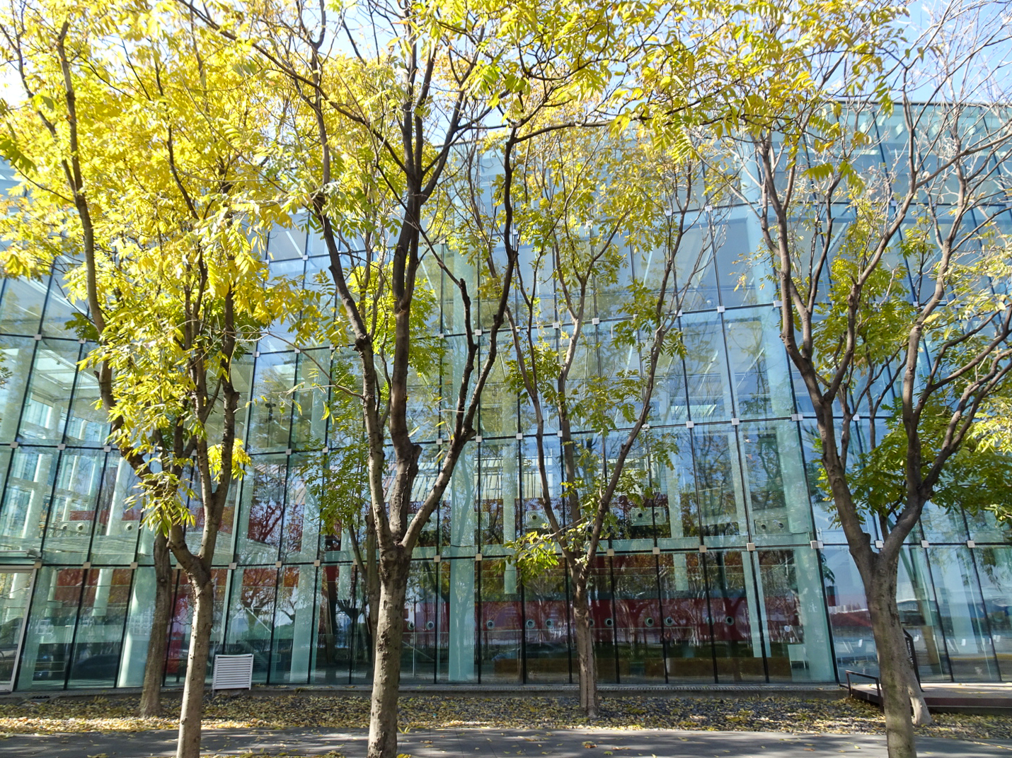 西岸芸術中心 N館_14