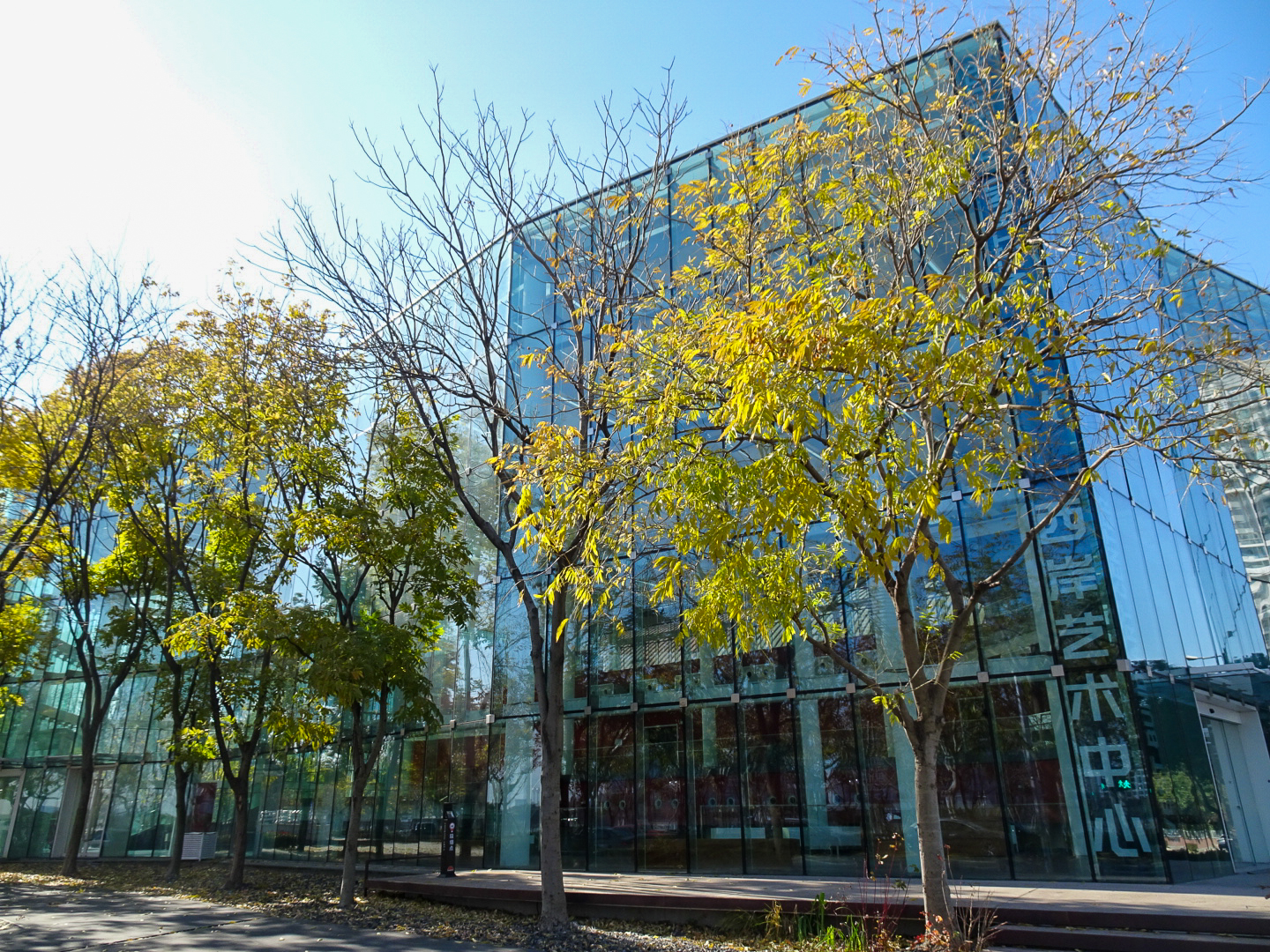 西岸芸術中心 N館_5