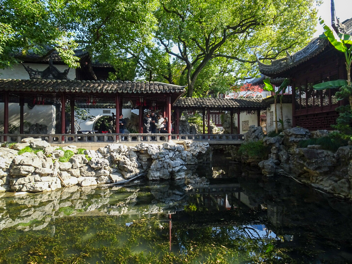豫園_41