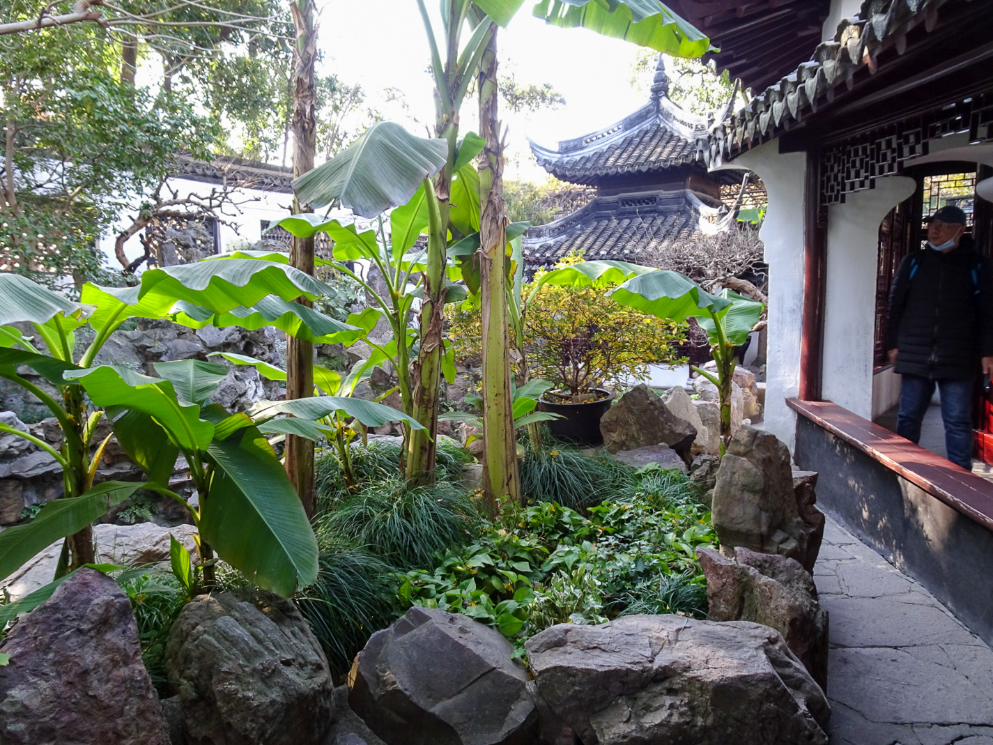 豫園_8