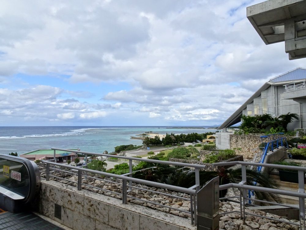 沖縄美ら海水族館_15