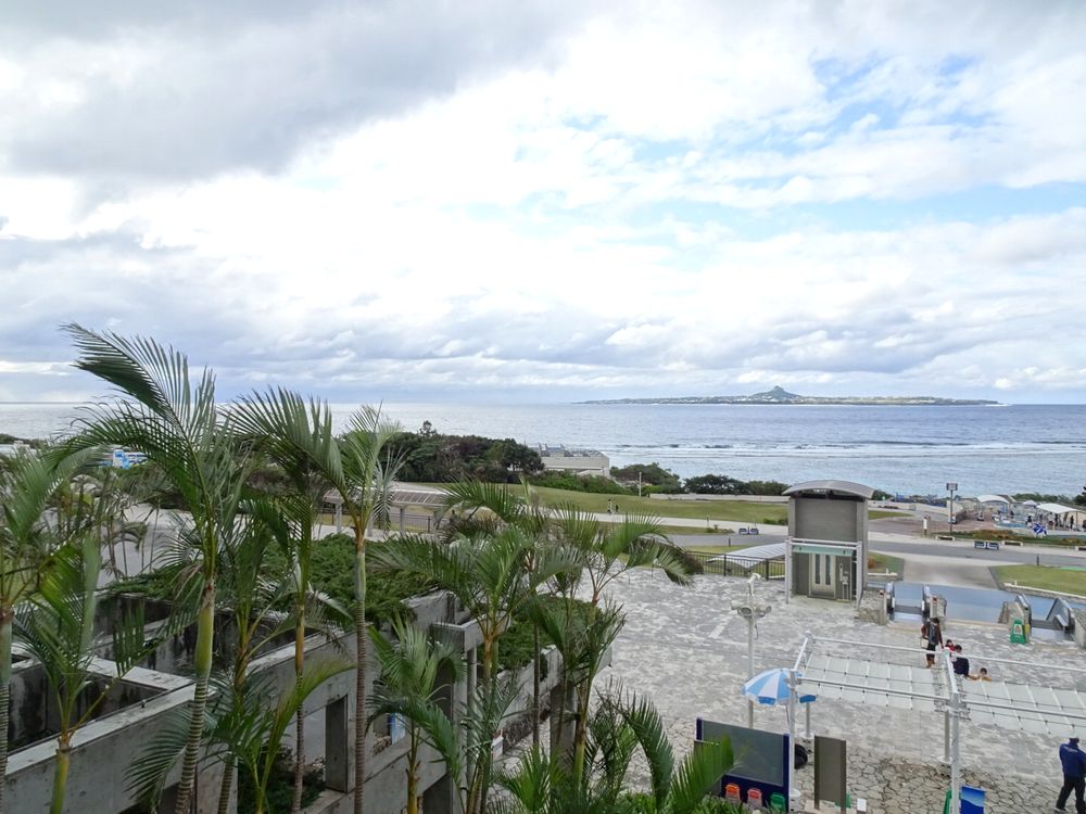 沖縄美ら海水族館_18