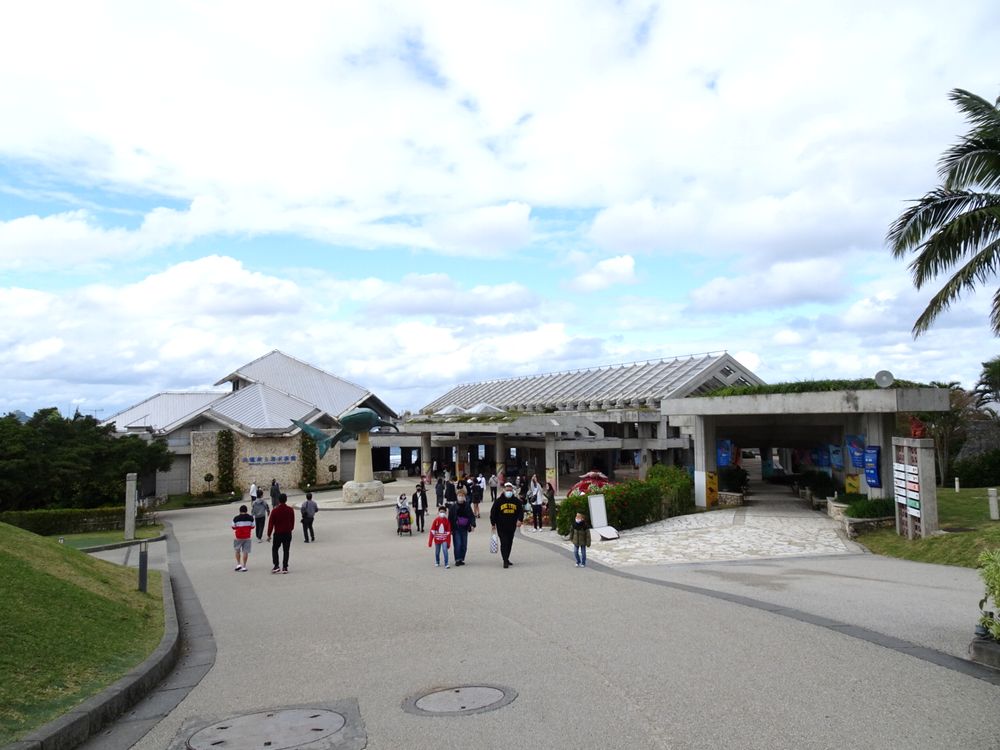 沖縄美ら海水族館_2