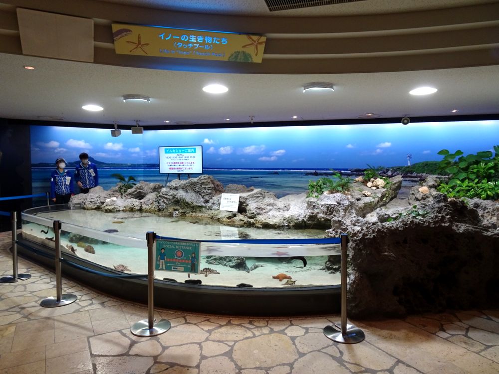 沖縄美ら海水族館_26