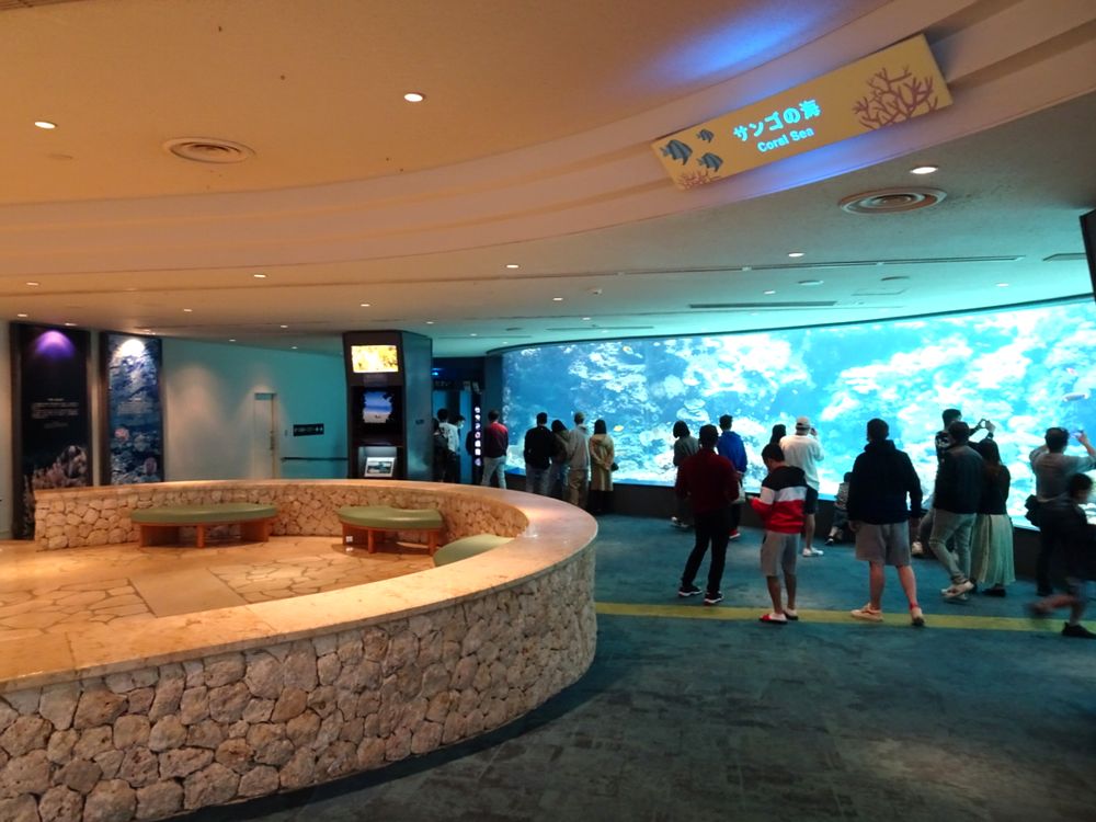 沖縄美ら海水族館_28