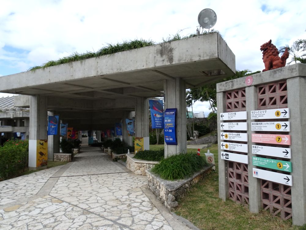 沖縄美ら海水族館_3