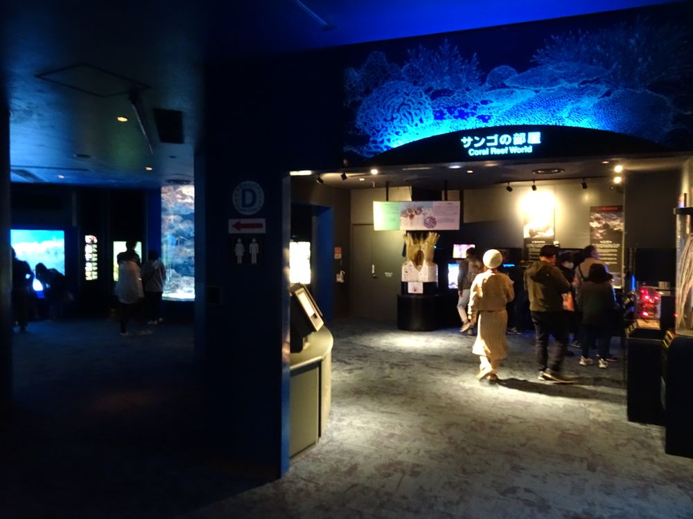 沖縄美ら海水族館_35