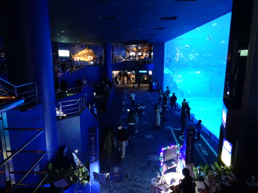 沖縄美ら海水族館_49