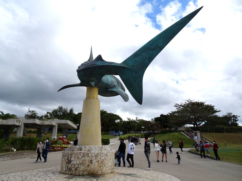 沖縄美ら海水族館_6