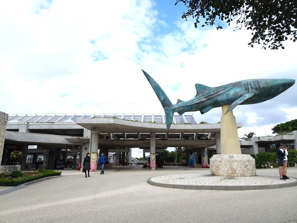 沖縄美ら海水族館_7