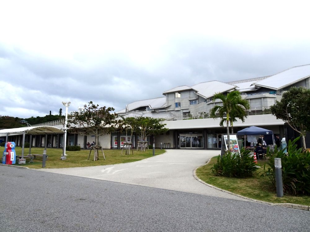 沖縄美ら海水族館_81