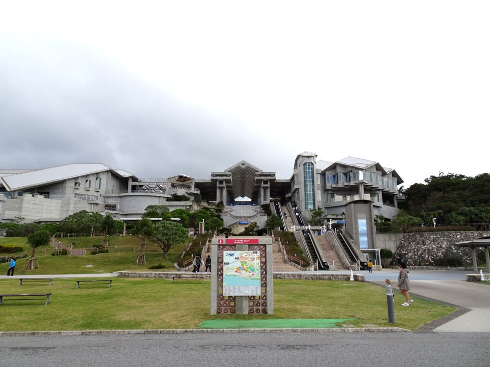 沖縄美ら海水族館_84