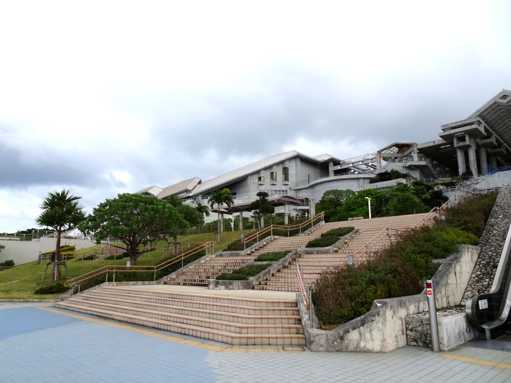 沖縄美ら海水族館_88