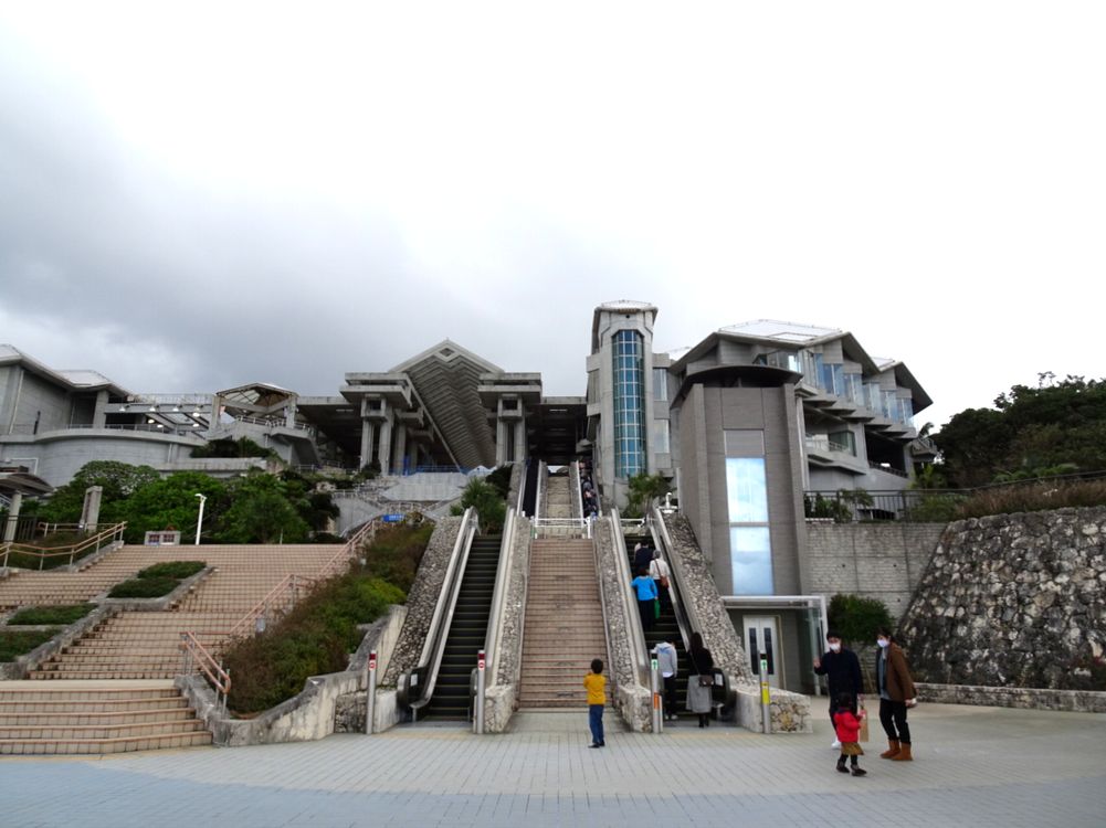 沖縄美ら海水族館_89