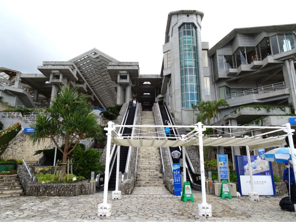 沖縄美ら海水族館_90