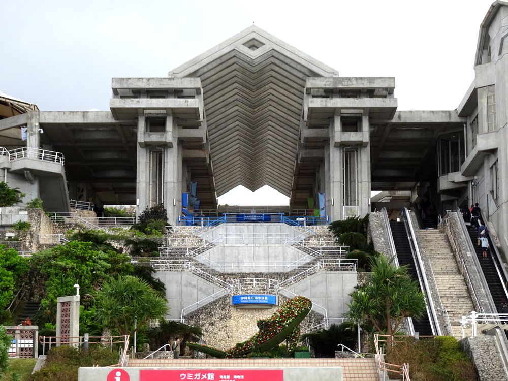 沖縄美ら海水族館_94