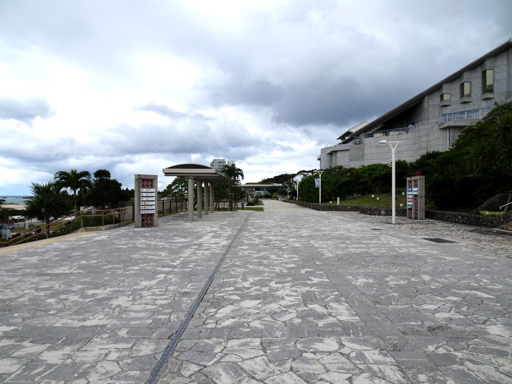 沖縄美ら海水族館_96