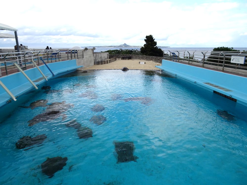 沖縄美ら海水族館_99