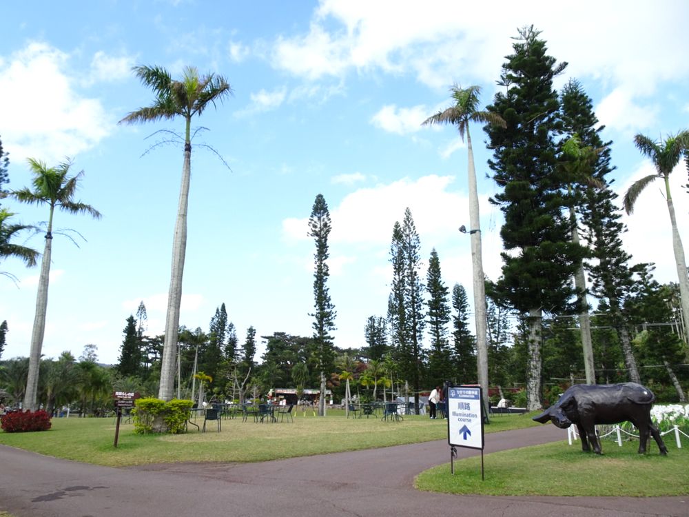 東南植物楽園_12