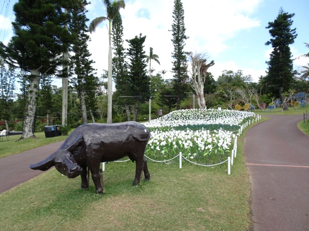 東南植物楽園_13