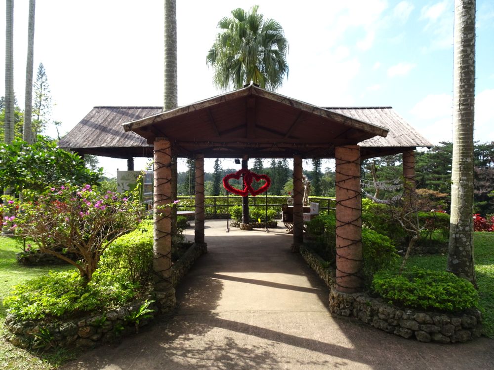 東南植物楽園_21