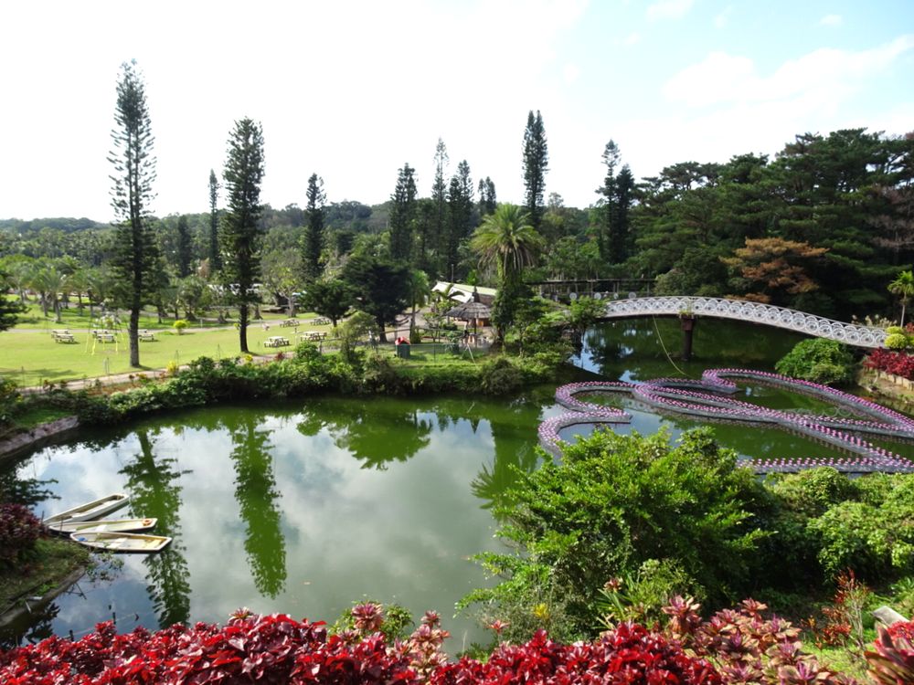 東南植物楽園_23