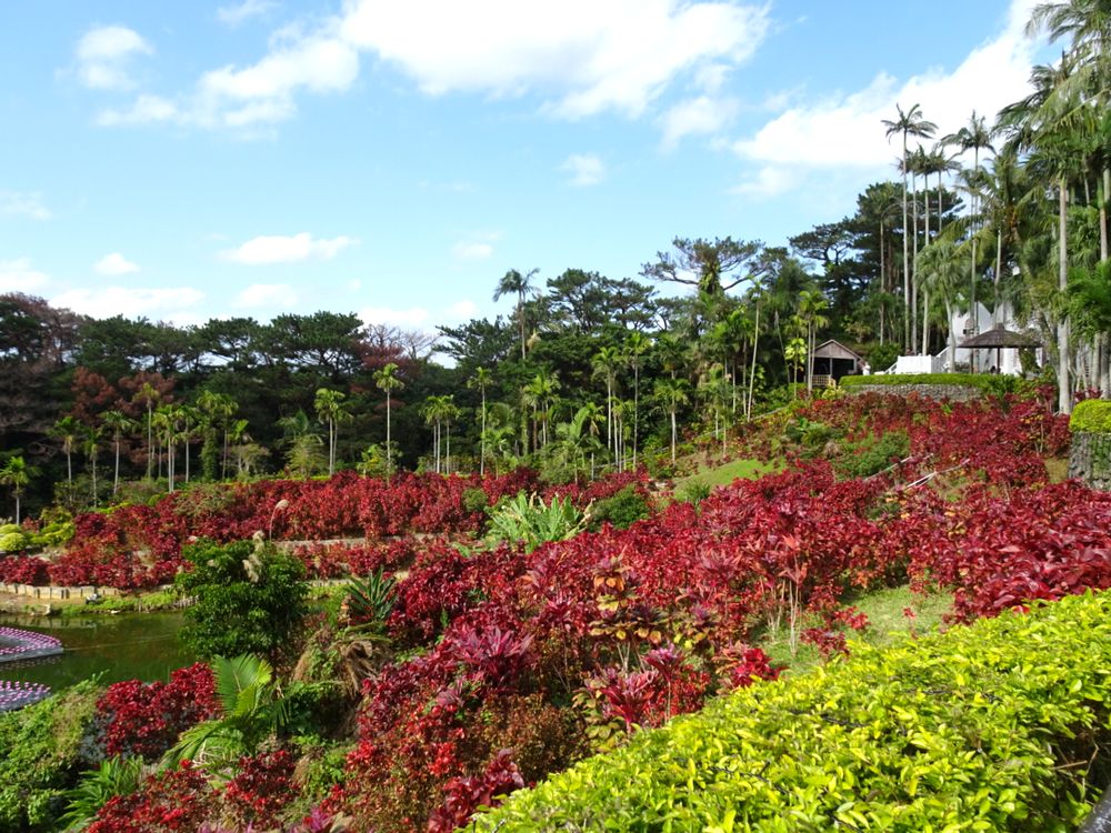 東南植物楽園_24