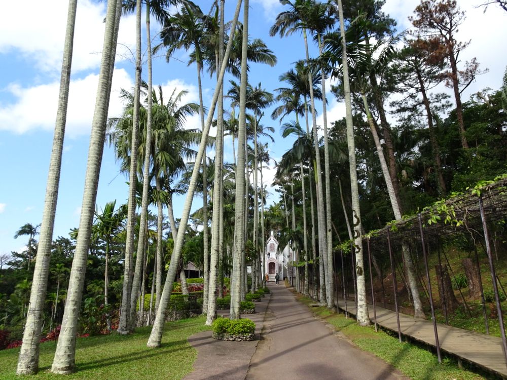 東南植物楽園_25