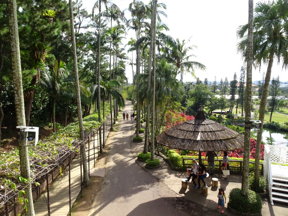 東南植物楽園_27