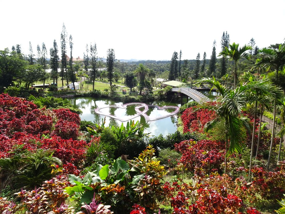 東南植物楽園_29