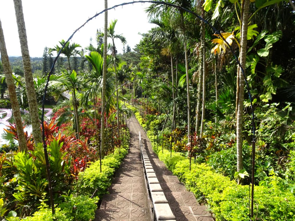 東南植物楽園_30