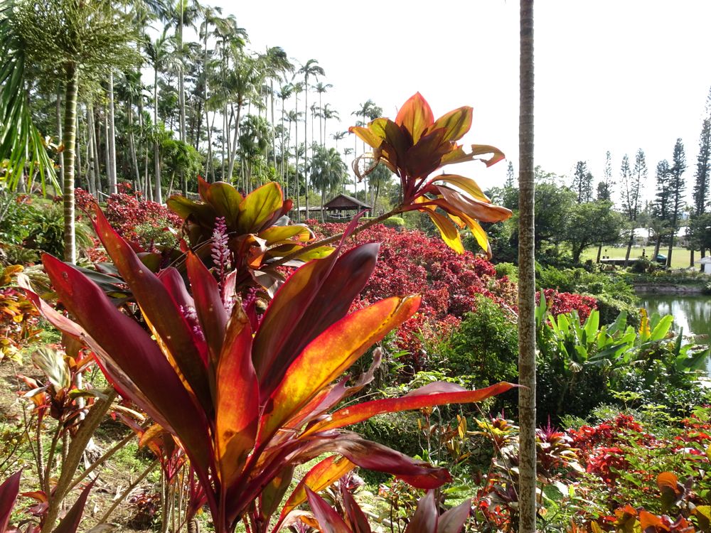 東南植物楽園_31