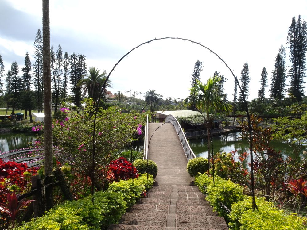 東南植物楽園_33