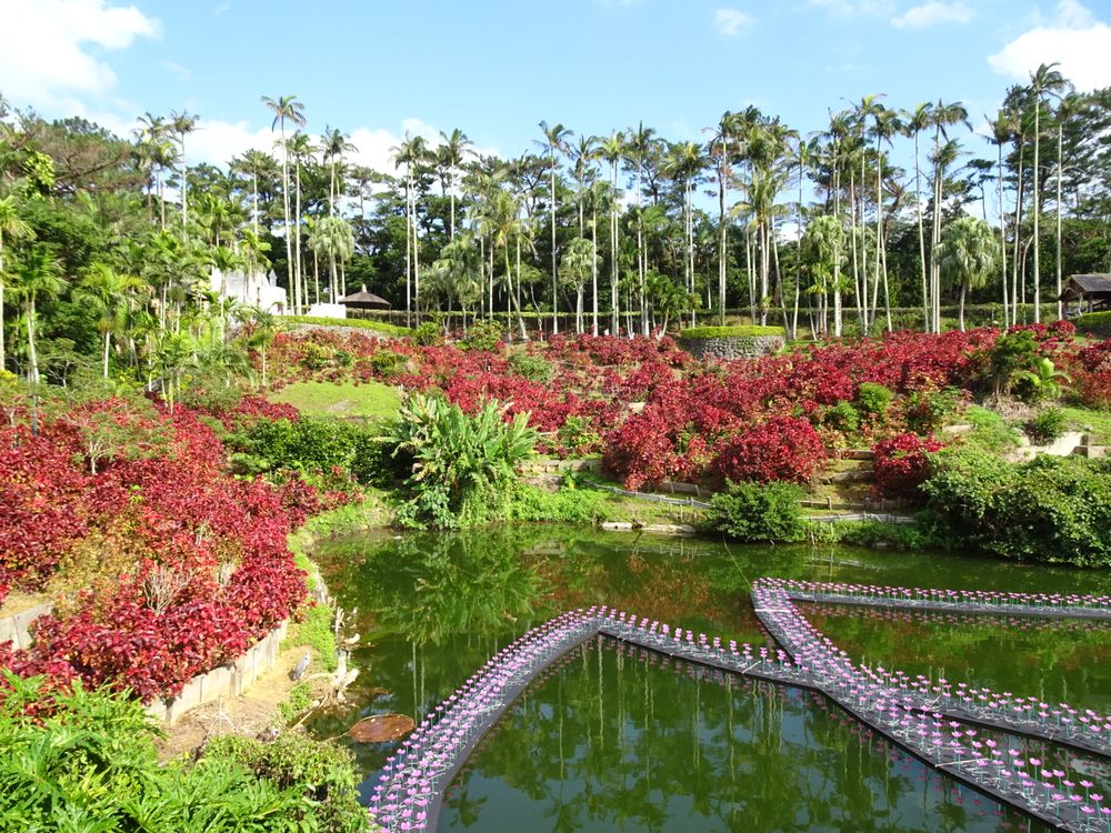 東南植物楽園_34