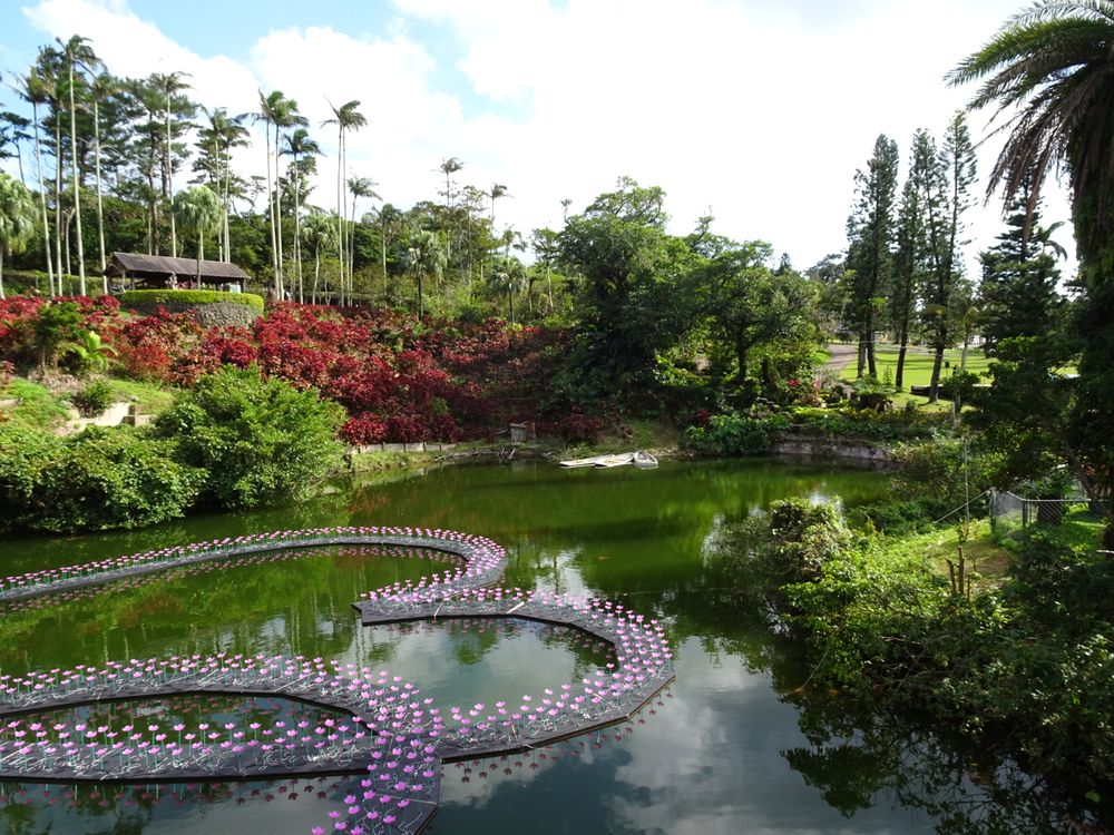 東南植物楽園_35