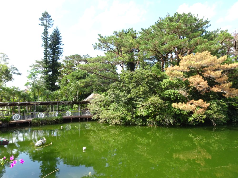 東南植物楽園_36