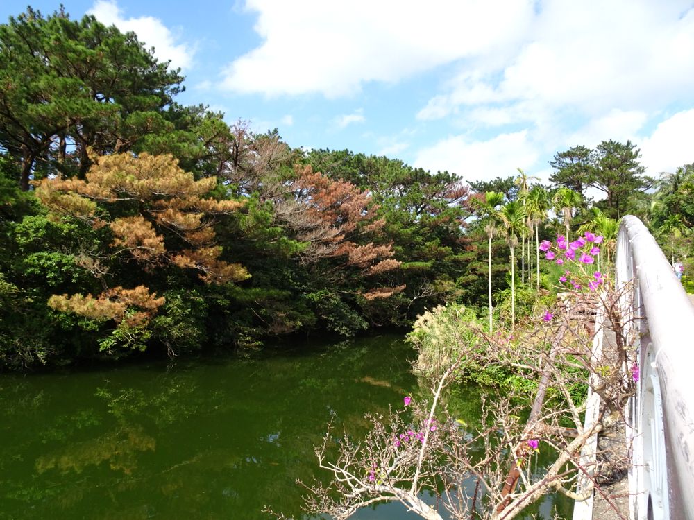 東南植物楽園_39