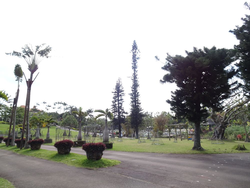 東南植物楽園_42