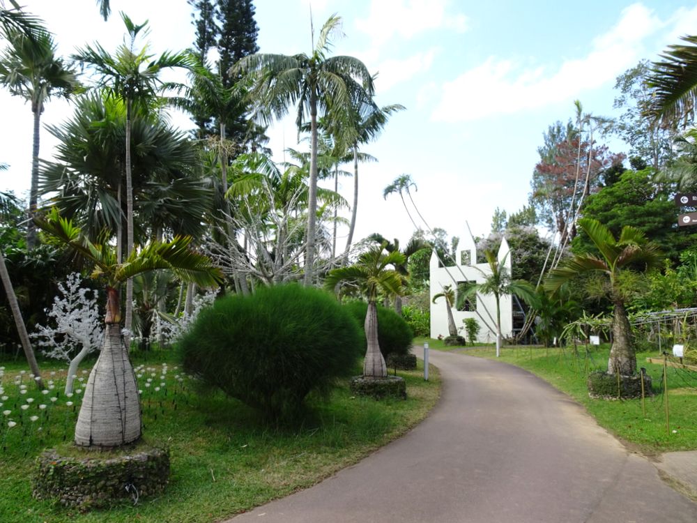 東南植物楽園_43