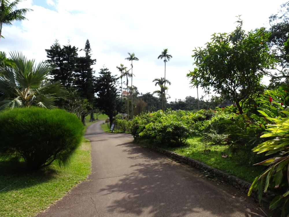 東南植物楽園_46